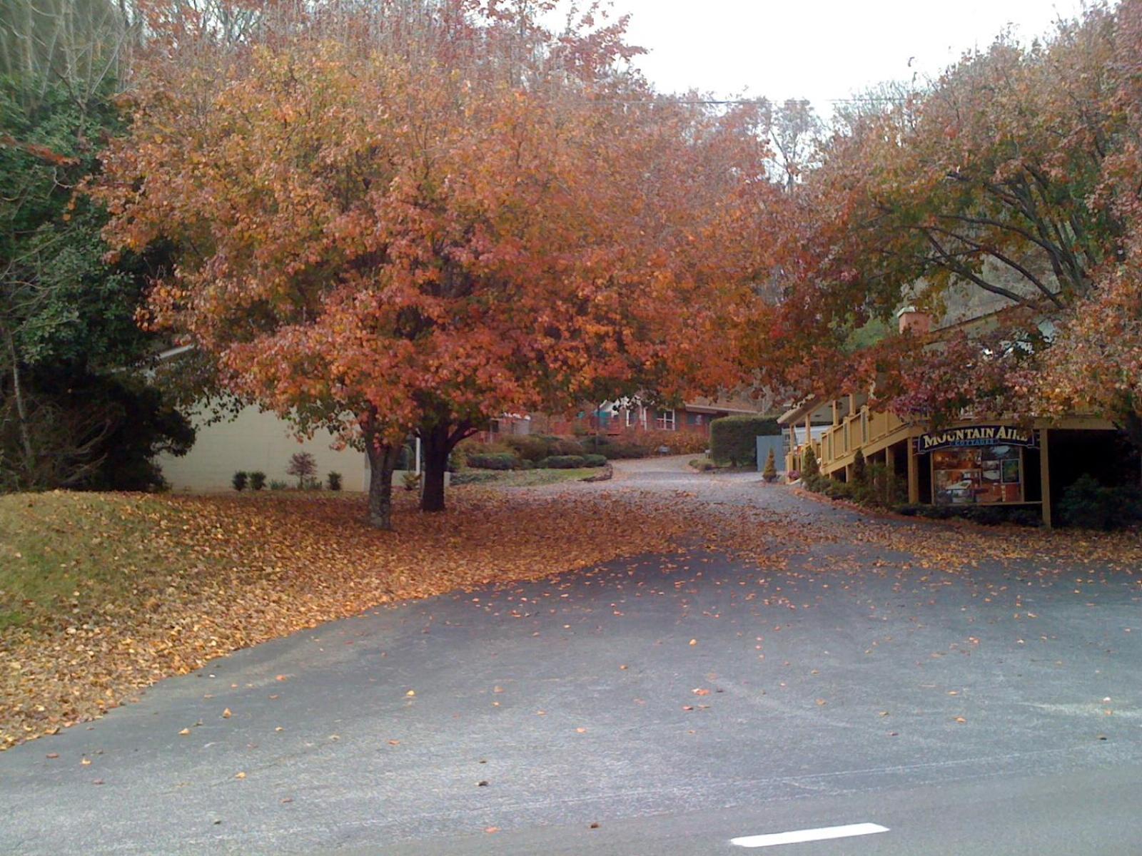 Mountain Aire Cottages & Inn Clayton Buitenkant foto